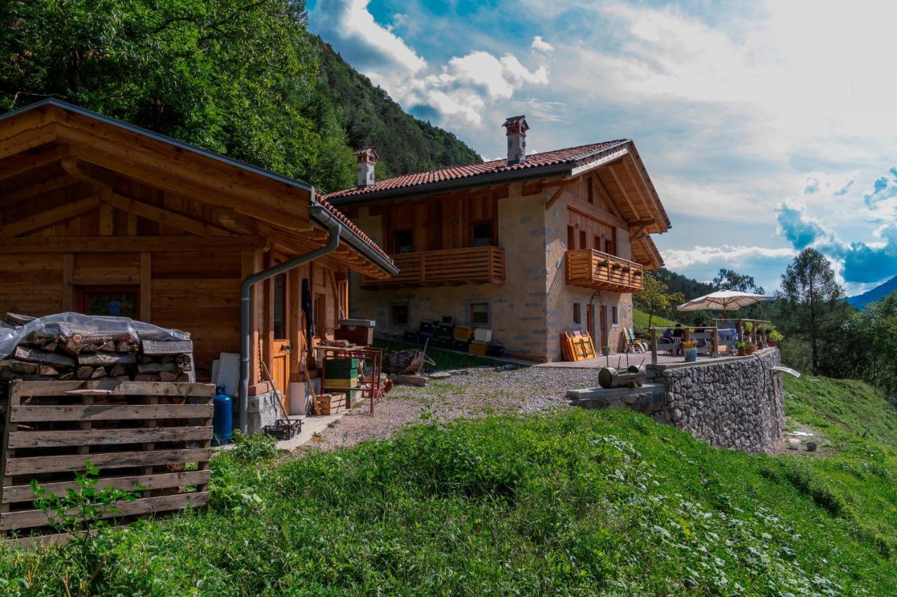 Agriturismo La Meta Pieve di Bono エクステリア 写真