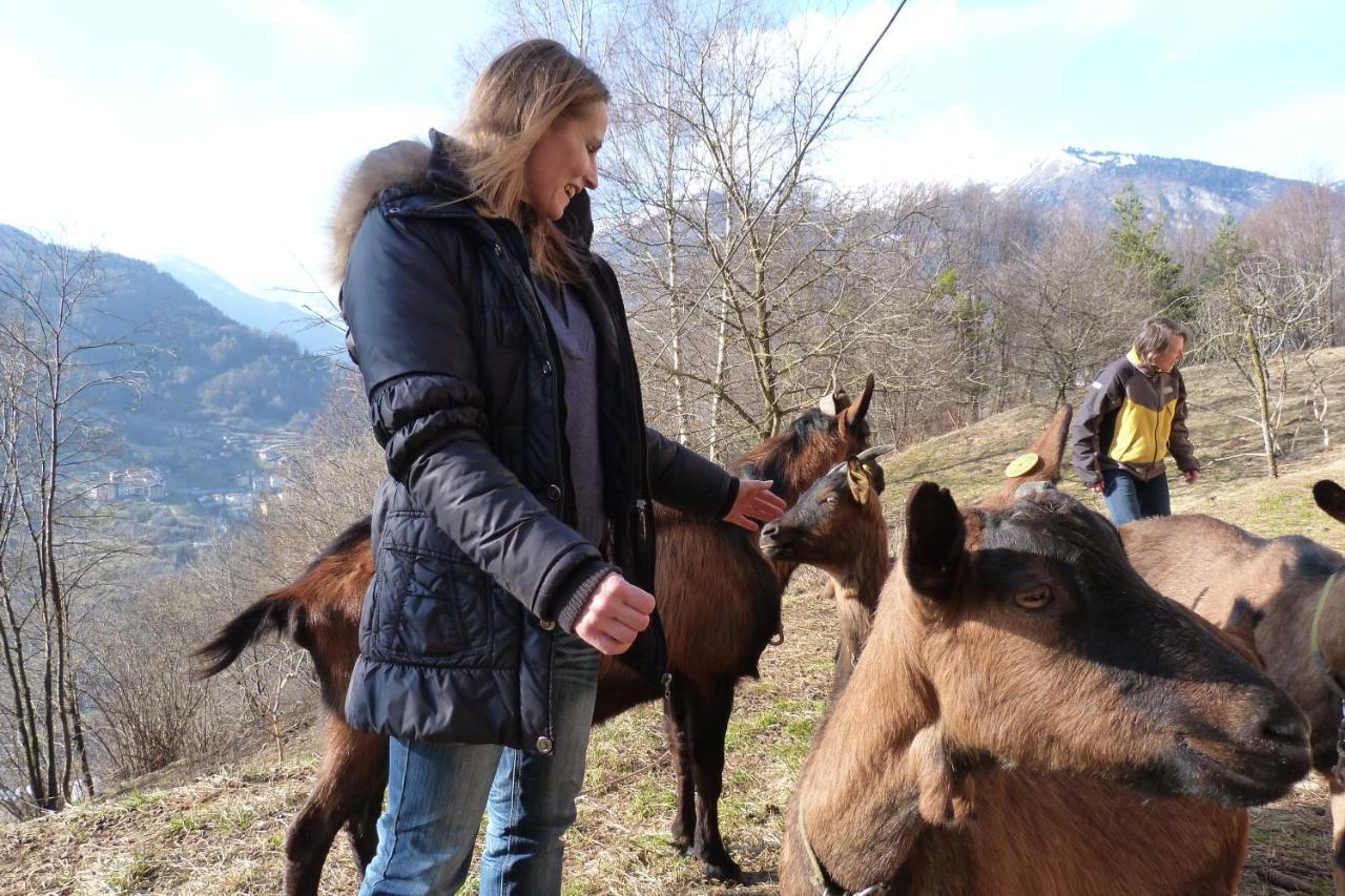 Agriturismo La Meta Pieve di Bono エクステリア 写真
